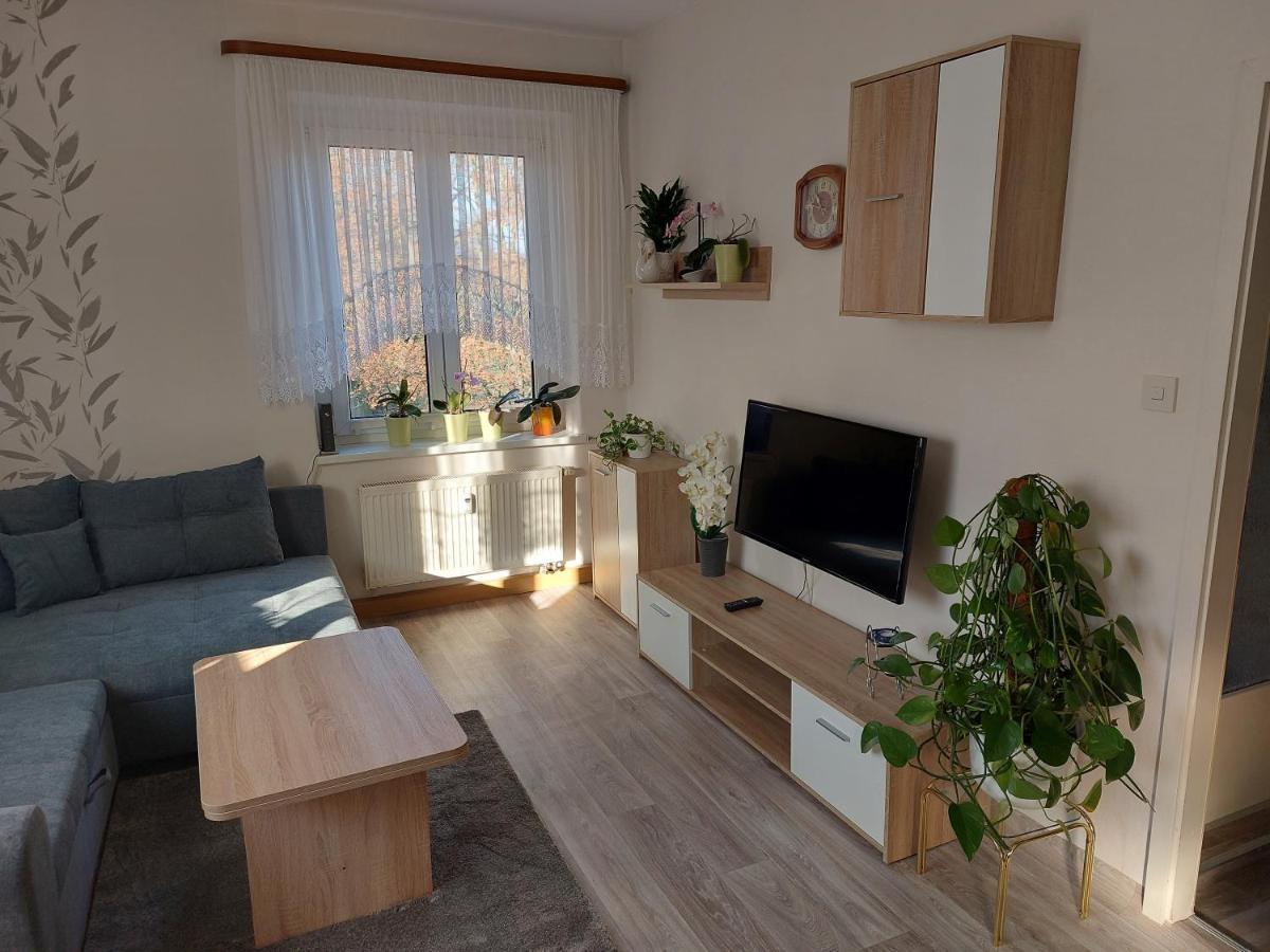 Ferienwohnung Lehmann ピルナ エクステリア 写真